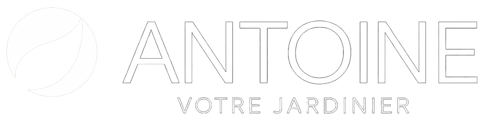 Antoine — Jardinier paysagiste à Lille et sa Métropole